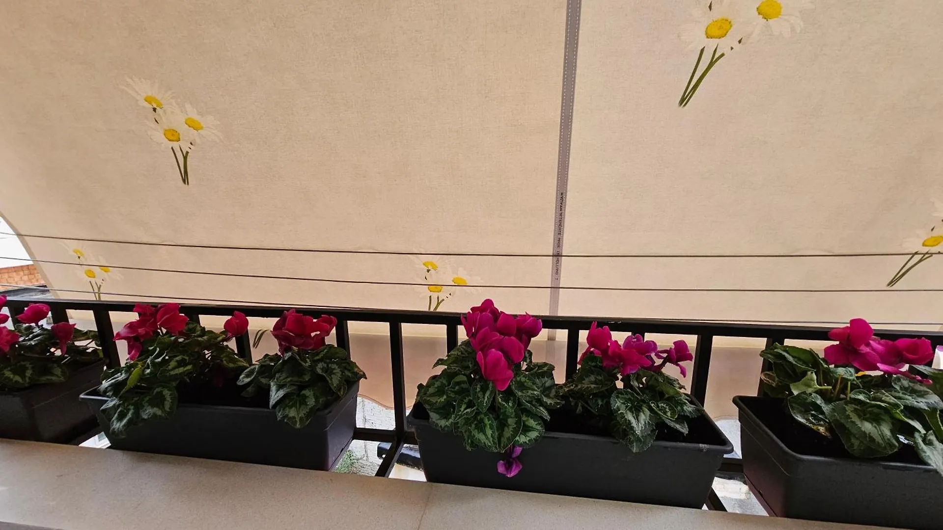 City Center Apartment Tirana
